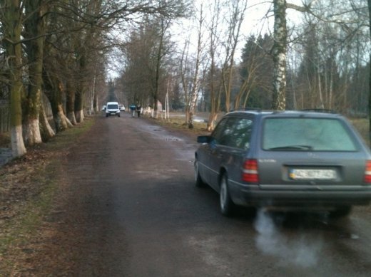 Як дбають про чисте повітря у парку Лесі Українки
